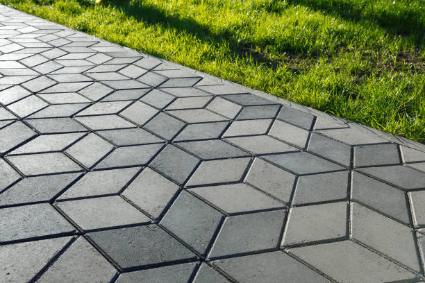 Best Driveway Paving Contractor  in Lamoni, IA